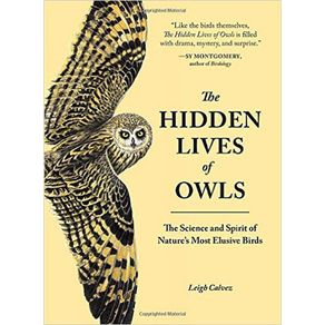 801249_ampliada.jpg 801249_ampliada.jpg