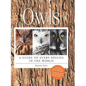 801296_ampliada.jpg 801296_ampliada.jpg