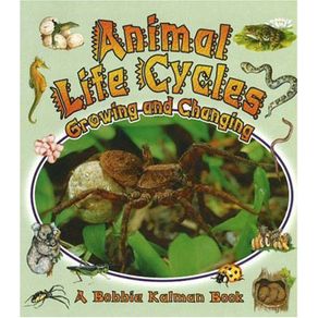 789866_ampliada.jpg 789866_ampliada.jpg