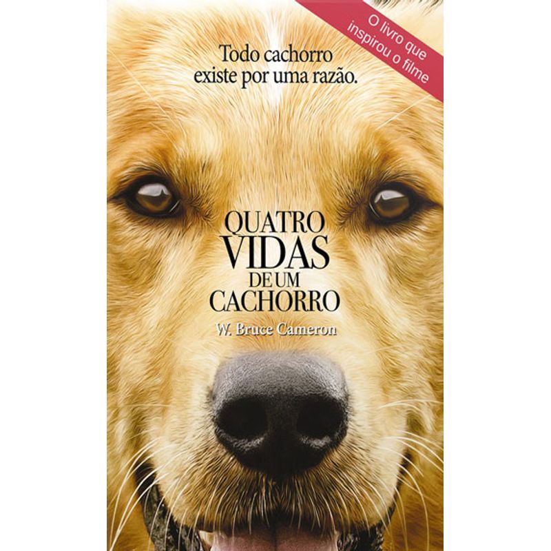 792181_ampliada.jpg 792181_ampliada.jpg