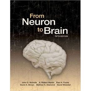 778183_ampliada.jpg 778183_ampliada.jpg