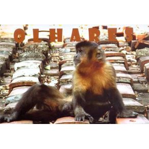 804176_ampliada.jpg 804176_ampliada.jpg