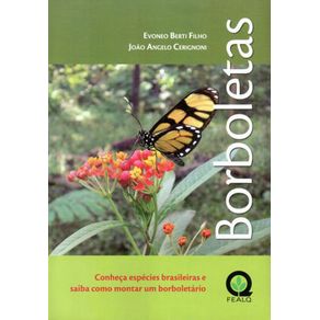 782242_ampliada.jpg 782242_ampliada.jpg