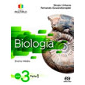 786515_vitrine.jpg 786515_vitrine.jpg