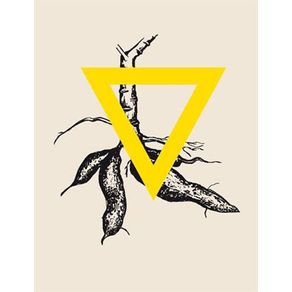 793006_ampliada.jpg 793006_ampliada.jpg