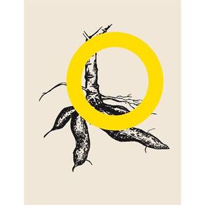 793211_ampliada.jpg 793211_ampliada.jpg