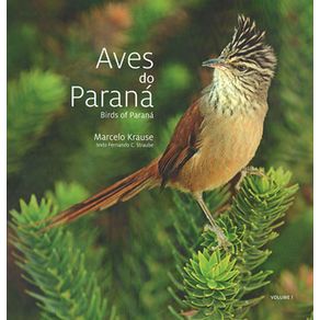 770443_ampliada.jpg 770443_ampliada.jpg