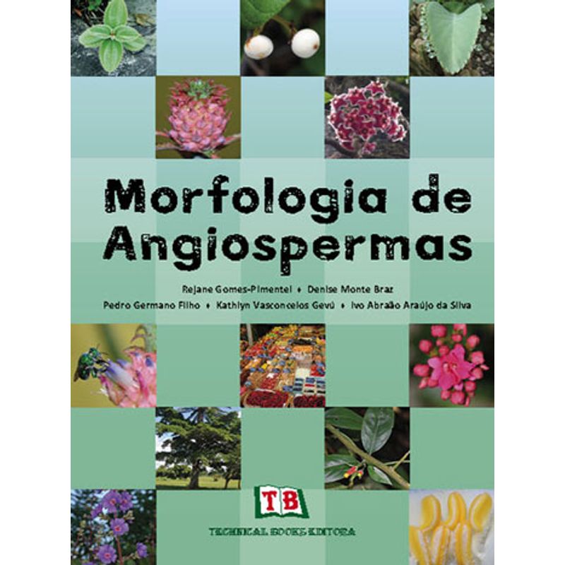 797579_ampliada.jpg