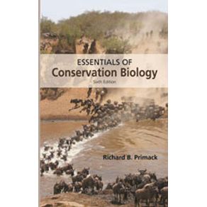 753280_detalhes.jpg 753280_detalhes.jpg