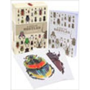 754791_vitrine.jpg 754791_vitrine.jpg