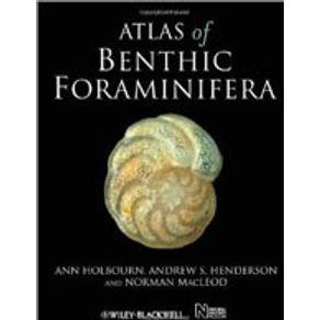 738113_detalhes.jpg 738113_detalhes.jpg