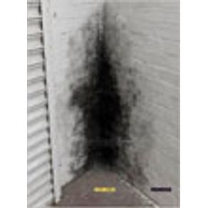 739053_vitrine.jpg 739053_vitrine.jpg