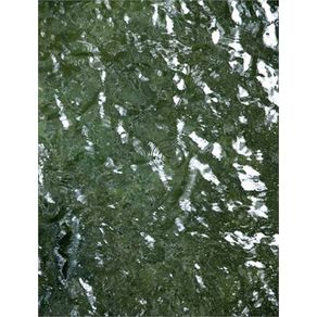 739219_ampliada.jpg 739219_ampliada.jpg