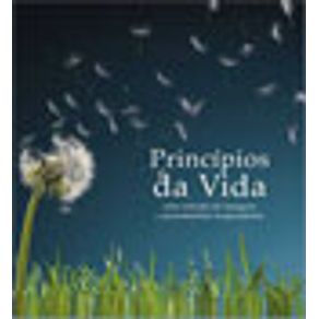 744448_vitrine.jpg 744448_vitrine.jpg