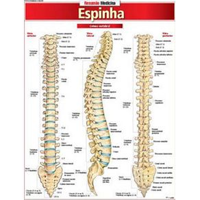 732171_ampliada.jpg 732171_ampliada.jpg