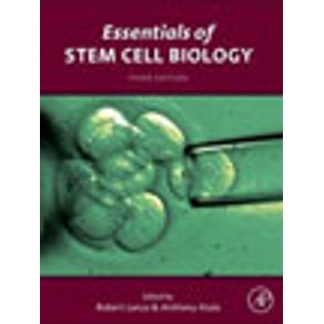 737738_vitrine.jpg 737738_vitrine.jpg