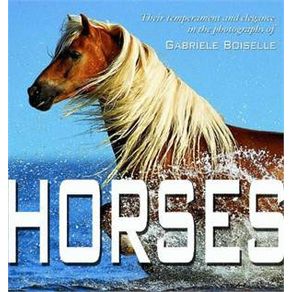 719861_ampliada.jpg 719861_ampliada.jpg