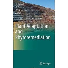 719915_detalhes.jpg 719915_detalhes.jpg