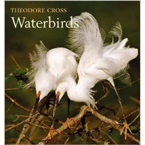 721882_ampliada.jpg 721882_ampliada.jpg