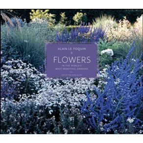 698304_ampliada.jpg 698304_ampliada.jpg