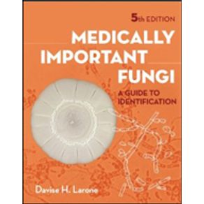 694761_detalhes.jpg 694761_detalhes.jpg