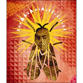 683440_ampliada.jpg 683440_ampliada.jpg