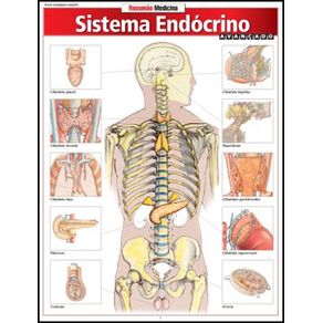 684649_ampliada.jpg 684649_ampliada.jpg