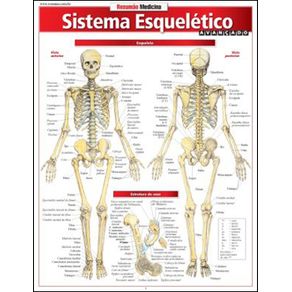 684650_ampliada.jpg 684650_ampliada.jpg