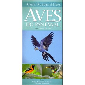 687107_ampliada.jpg 687107_ampliada.jpg