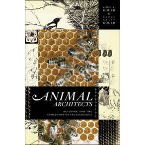 687663_ampliada.jpg 687663_ampliada.jpg