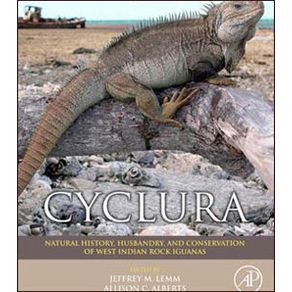 670364_ampliada.jpg 670364_ampliada.jpg