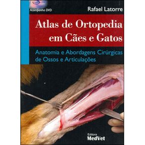 673499_ampliada.jpg 673499_ampliada.jpg