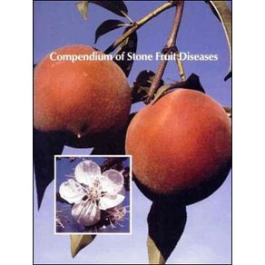 674703_ampliada.jpg 674703_ampliada.jpg