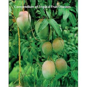 674706_ampliada.jpg 674706_ampliada.jpg