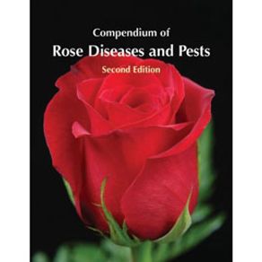 674678_ampliada.jpg 674678_ampliada.jpg