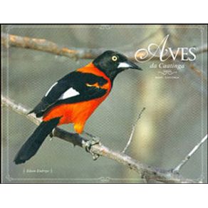 677209_ampliada.jpg 677209_ampliada.jpg