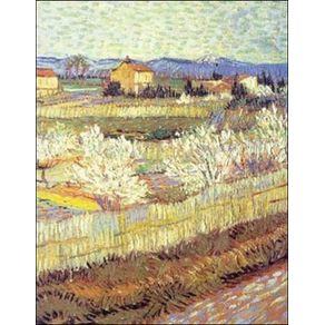 658674_ampliada.jpg 658674_ampliada.jpg