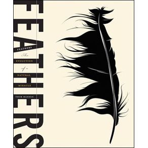 662133_ampliada.jpg 662133_ampliada.jpg