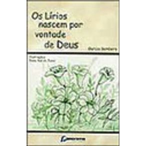 665381_vitrine.jpg 665381_vitrine.jpg