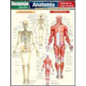 666653_vitrine.jpg 666653_vitrine.jpg