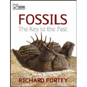 651584_detalhes.jpg 651584_detalhes.jpg