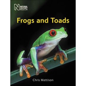 651583_ampliada.jpg 651583_ampliada.jpg