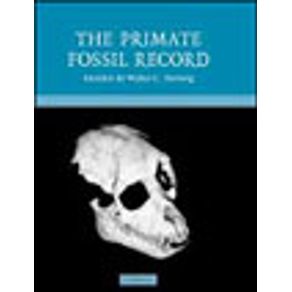 652848_vitrine.jpg 652848_vitrine.jpg