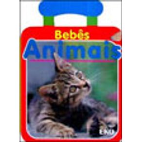 641922_vitrine.jpg 641922_vitrine.jpg