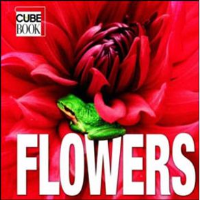 642480_ampliada.jpg 642480_ampliada.jpg