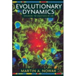 629360_vitrine.jpg 629360_vitrine.jpg