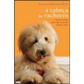 633242_vitrine.jpg 633242_vitrine.jpg