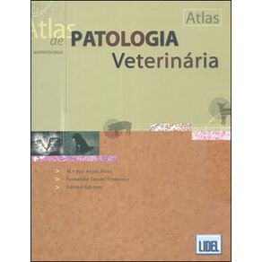 618117_ampliada.jpg 618117_ampliada.jpg