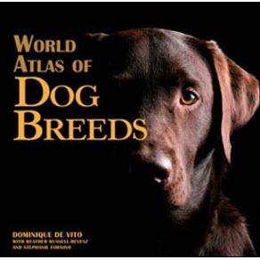 620020_ampliada.jpg 620020_ampliada.jpg