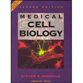 626283_detalhes.jpg 626283_detalhes.jpg